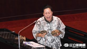 花蓮路斷她哭慘　拿石頭要林全敲看看