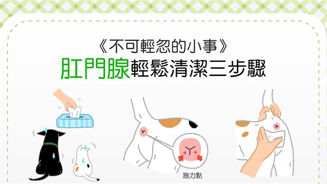毛孩老是磨屁屁？小菊花保健法3步驟