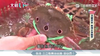 創7億年產值　全台八成蟹從萬里上岸