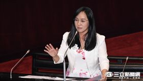 民進黨立委陳瑩 圖／記者林敬旻攝