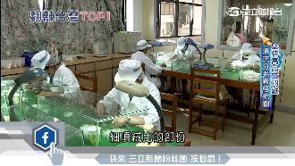 台製百年羽絨廠　堅持高品質稱霸全球