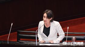 民進黨立委蕭美琴　圖／記者林敬旻攝