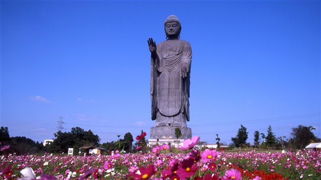 全球最高大佛在日本　其實祂來自台灣