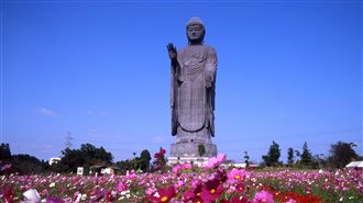 全球最高大佛在日本　其實祂來自台灣