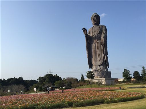 茨城縣牛久大佛,阿彌陀佛,佛教,佛像(圖/公關照)