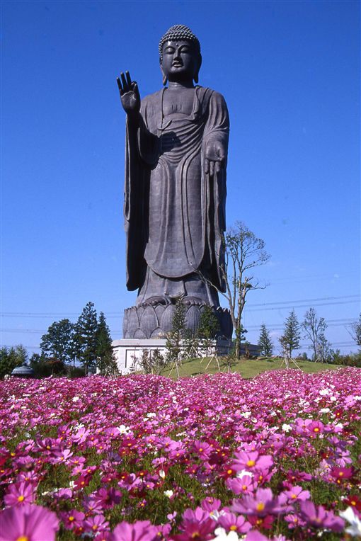 茨城縣牛久大佛,阿彌陀佛,佛教,佛像(圖/公關照)