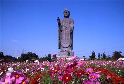 茨城縣牛久大佛,阿彌陀佛,佛教,佛像(圖/公關照)