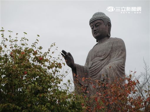 茨城縣牛久大佛,阿彌陀佛,佛教,佛像(圖/記者謝宛真攝影)