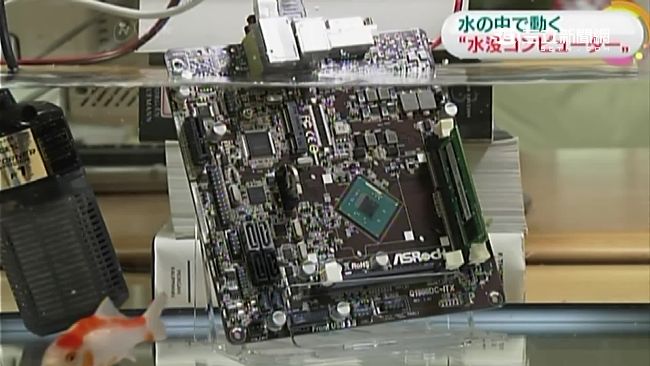 主機板泡魚缸　日超狂實驗水冷電腦