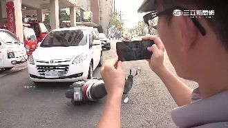 遇動物暴衝出車禍　警察教你這樣自保