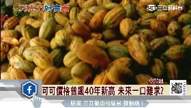 T 脫歐害巧克1700