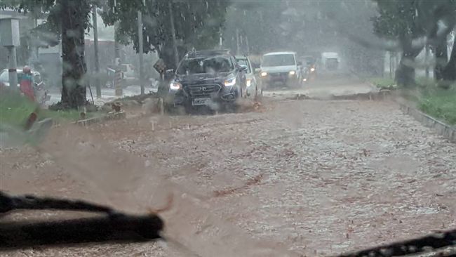 掃到海馬颱風尾　台東綠色隧道又淹了
