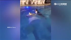 結婚,鬧婚,伴娘,伴郎,滅火器,影片,大陸,山東,青島,黎巴嫩,游泳池,婚紗,新人