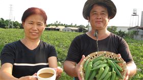 秋葵　圖／草地狀元