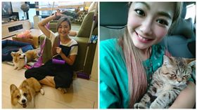 「狗在門口大便可自行撲殺」　邵庭：請你們消失在地球
圖/翻攝自邵庭臉書