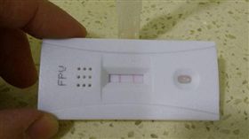 貓瘟試紙,貓咪,生病,測試
圖／翻攝自百度
https://goo.gl/kQEiuU