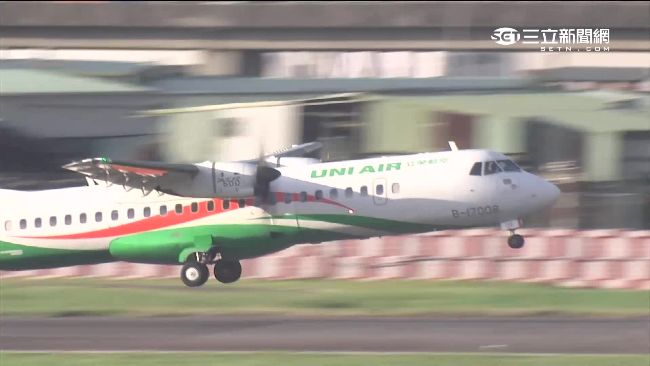 松機遭鳥襲　40白鷺鸞伴飛威脅飛安