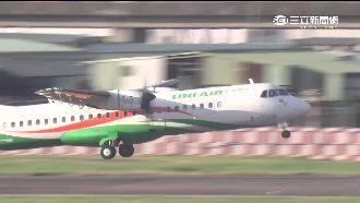 松機遭鳥襲　40白鷺鸞伴飛威脅飛安