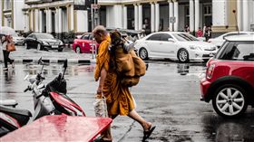泰國,僧伽,僧侶,和尚,佛教（圖／攝影者Madhu nair, Flickr CC License）
https://www.flickr.com/photos/61421052@N07/15220173812/