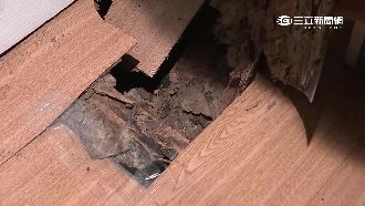 地板一踩就破　「果凍屋」辨別有妙招