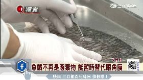 魚麟眼角膜1300