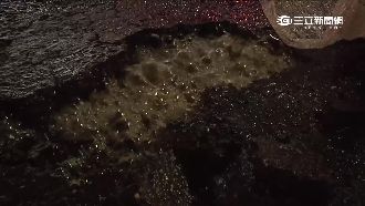 高雄氣爆區路面冒泡　中油：氮氣外漏
