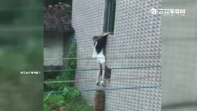 攀樓妹慘摔0800