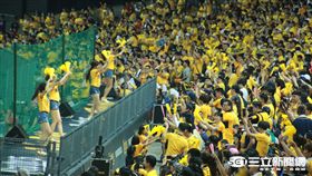 台灣大賽,兄弟球迷（圖／記者王怡翔攝）