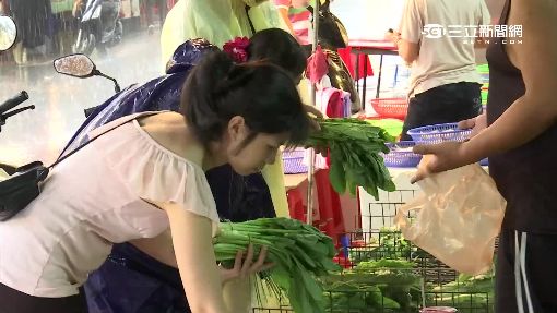 菜價狂飆民怨四起 菜蟲算產季賺暴利│三立新聞台