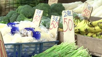 菜價狂飆惹民怨　菜蟲算產季賺暴利