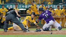 方克偉本壘前觸殺王勝偉，經過電視輔助判決後改為safe（圖／義大犀牛提供）