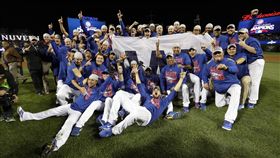 小熊封王（圖／美聯社／達志影像）