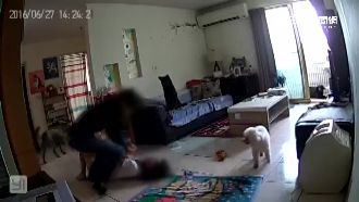 昔日愛狗志工　闖屋壓地痛毆女友