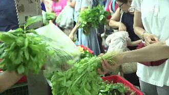 抓最大菜蟲　立委爆農產公司賤賣超市