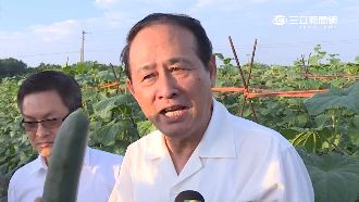 菜價狂飆！曹啟鴻下鄉視察農作物復耕