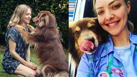 亞曼達賽佛瑞,Amanda Seyfried,instagram,ttps://www.instagram.com/mingey/?hl=zh-tw