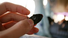 蟑螂
https://www.flickr.com/photos/genelin1211/2454448292/in/photolist-6VnzoU-5n31uG-nn99JT-fFXLn5-8mhTuC-8e2q5Z-egdVn7-5iD5uS-aF4Sz3-nDHZC4-4JPspM-4JTFY1-5hiETp-bRYuP6-3f8qyY-4fpc9D-5iMXGz-enx9vf-5go865-GAYzuL-oByVhz-7jZ5nk-4jr9Mp-5VwMmy-5JF4kg-5zZrdV-4JPskr-4JPt8F-wPzGo-8BWTty-bWBLU7-6XSZKE-7sz8YT-2GbCnL-4YrRdh