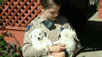 小狗狗誤觸警鈴　女警當場抱緊處理