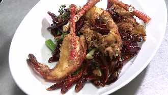 蝦界「姚明」　蝦長如臂有錢也買不到