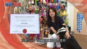 寵物訓練師Miki謝佳蕙。