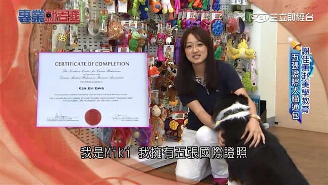 訓練師教寵物有撇步　不打罵＋冷處理