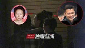 謝霆鋒,竇靖童,王菲（圖／翻攝自搜狐娛樂）