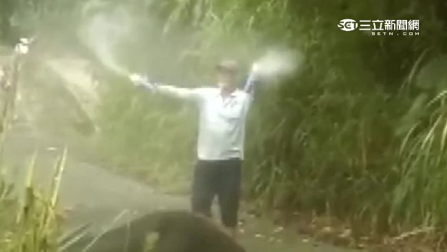 虎頭蜂狂螫愛牛　老翁拿殺蟲劑復仇