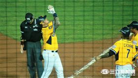 台灣大賽,林智勝全壘打（圖／記者王怡翔攝）