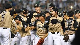 日本火腿,大谷翔平（ap）