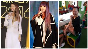 蔡依林、小S、張惠妹（合成圖／翻攝自臉書、微博）