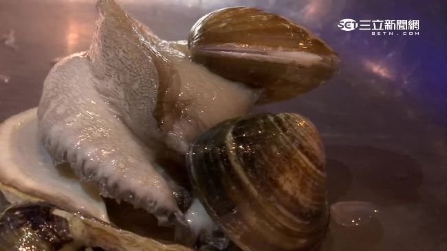 鮑魚生吞蛤蜊？餐桌上演吞食秀