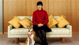 日本愛子公主（圖／美聯社／達志影像）