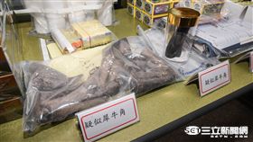 走私犀牛角,羚羊角,中藥 圖／記者林敬旻攝