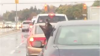 超嗨狗探出車窗　瘋狂甩頭猛吃雨滴